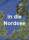 Arten der Nordsee